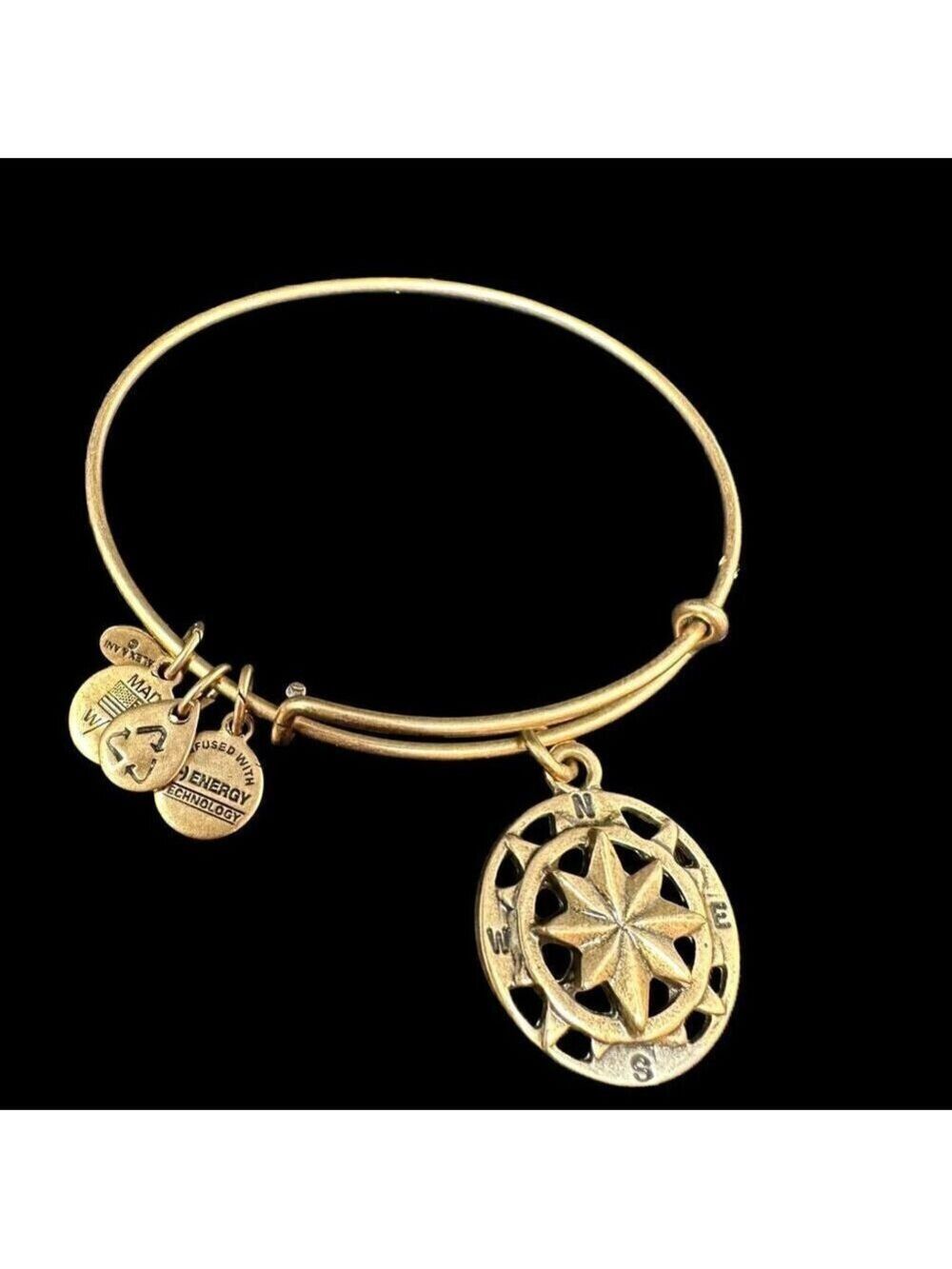 ALEX ANI Charm Bangle Bracelet Openwork Compass Rose Gold Tone Expandable Wire